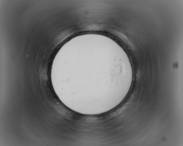 X0000101701209200808071150