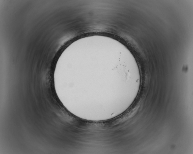 X0000101701210200808071150