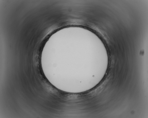 X0000101701211200808071150