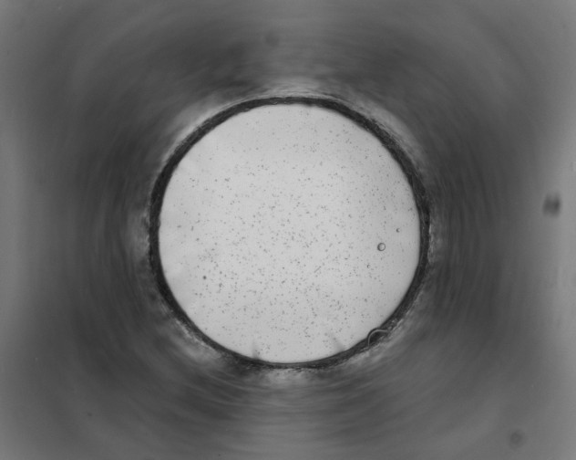 X0000101701212200808071150