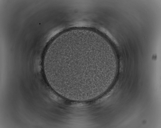 X0000101701213200808071150
