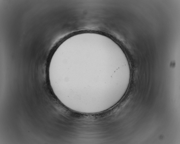 X0000101701214200808071150
