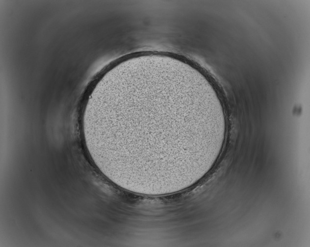 X0000101701215200808071150