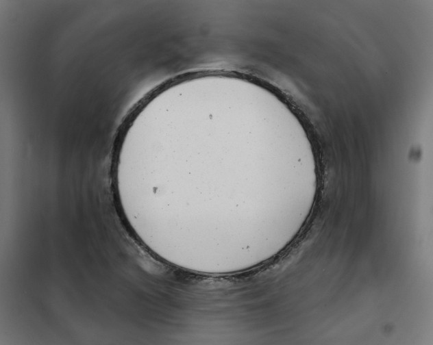 X0000101701216200808071151