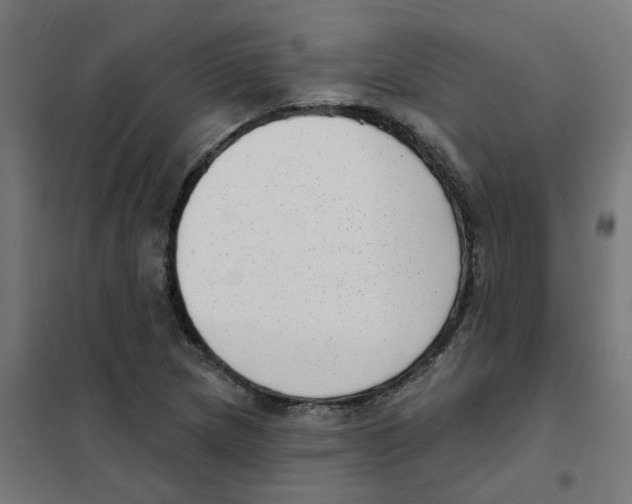 X0000101701217200808071151