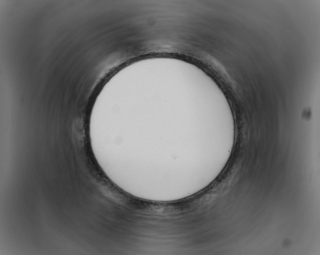 X0000101701218200808071151