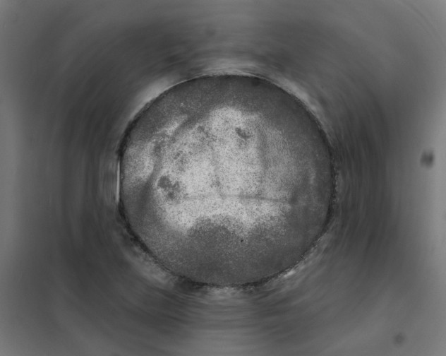 X0000101701219200808071151