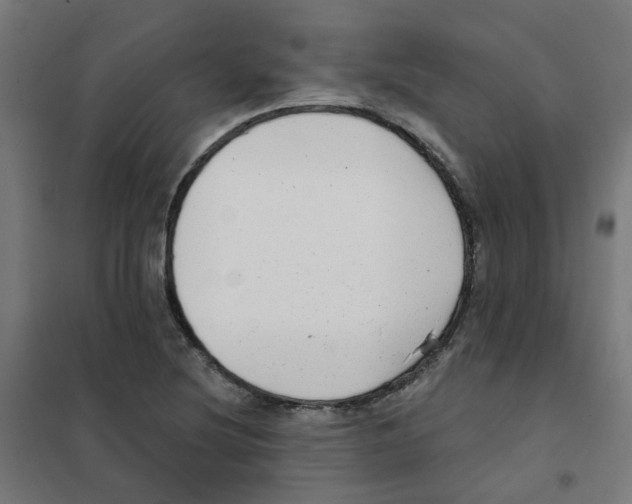 X0000101701220200808071151