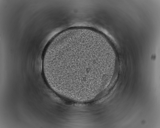 X0000101701221200808071151