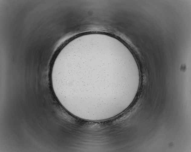 X0000101701222200808071151