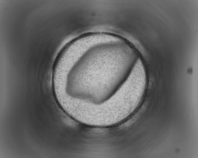 X0000101701224200808071151