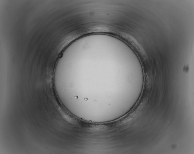 X0000101701225200808071151