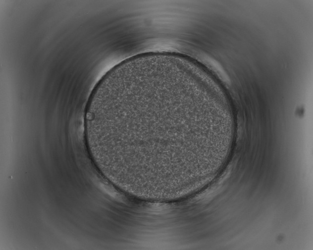 X0000101701226200808071151