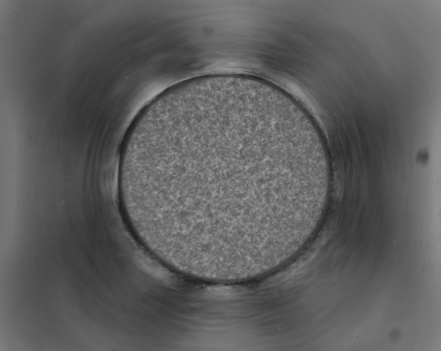 X0000101701227200808071151