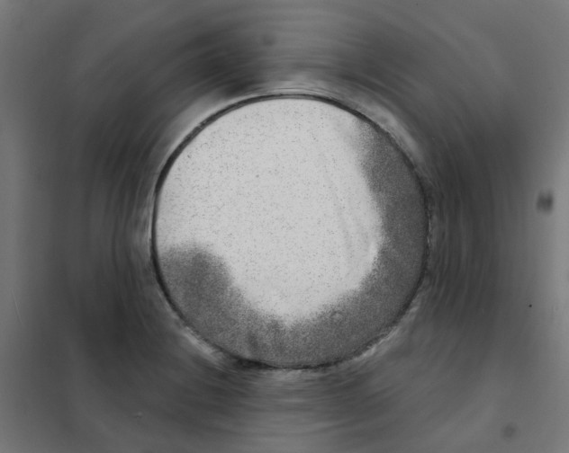 X0000101701228200808071151