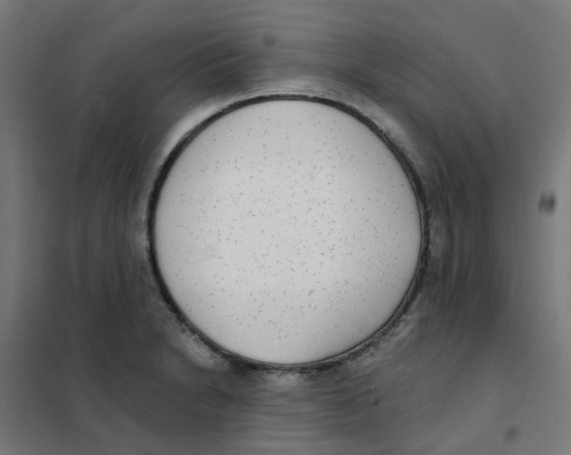 X0000101701230200808071151