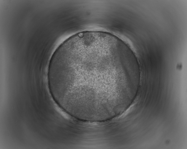 X0000101701231200808071151