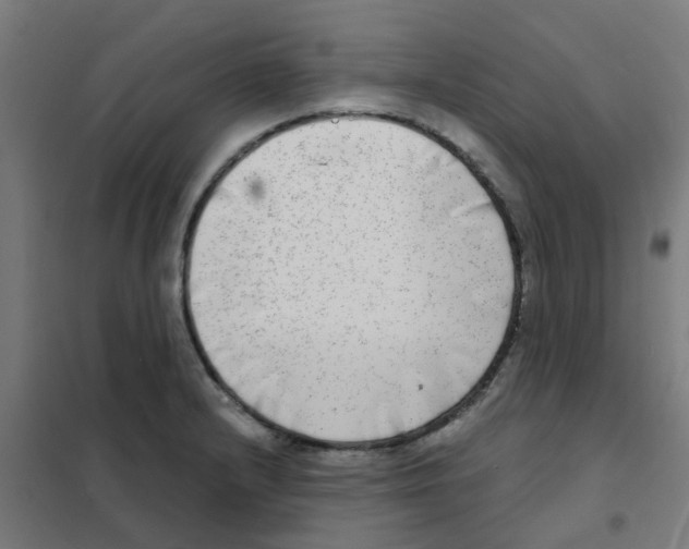 X0000101701232200808071151
