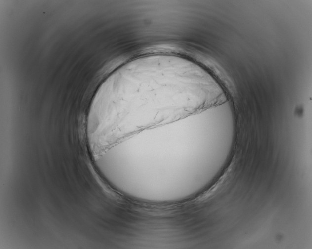 X0000101701233200808071151