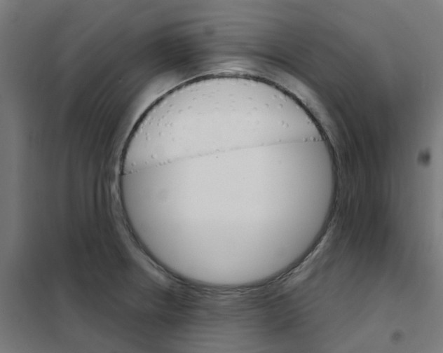 X0000101701234200808071151