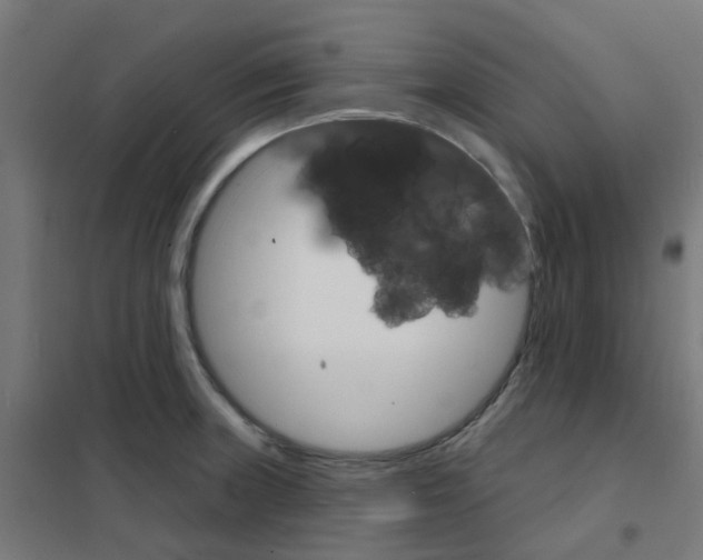 X0000101701235200808071151