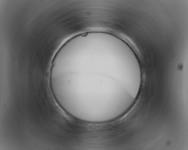 X0000101701236200808071151