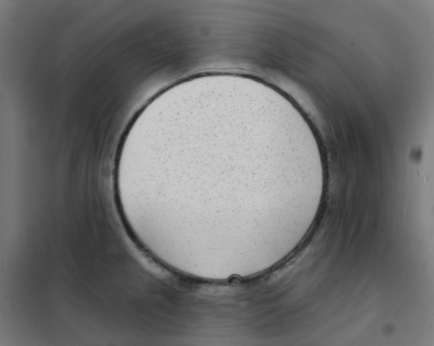 X0000101701237200808071151