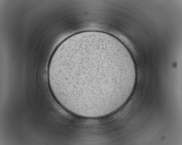 X0000101701238200808071151