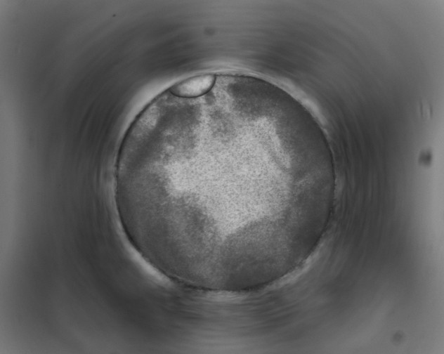 X0000101701239200808071151