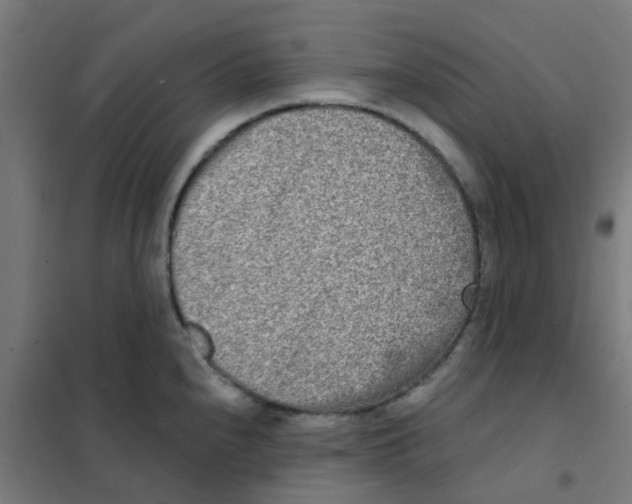 X0000101701240200808071151