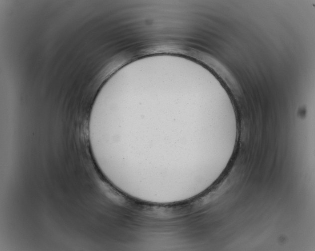 X0000101701241200808071151