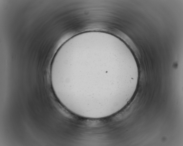 X0000101701242200808071151