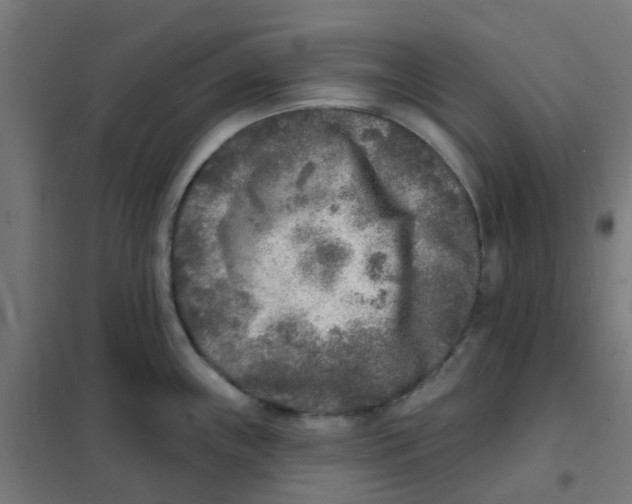 X0000101701243200808071151