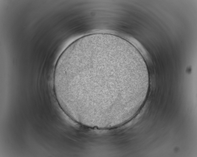 X0000101701244200808071151