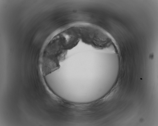 X0000101701245200808071151