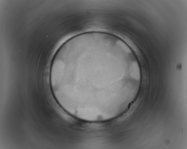 X0000101701246200808071151