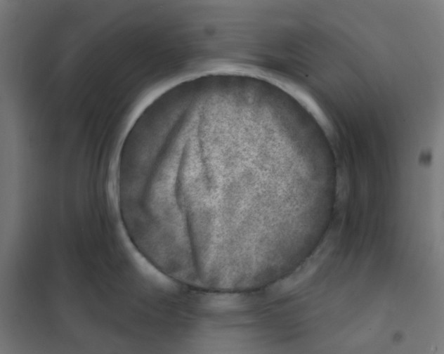 X0000101701247200808071151