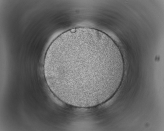 X0000101701248200808071151