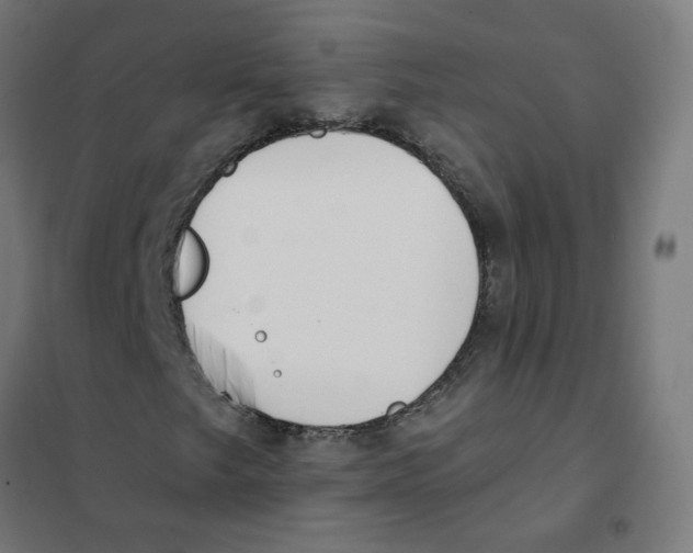 X0000101701249200808071150