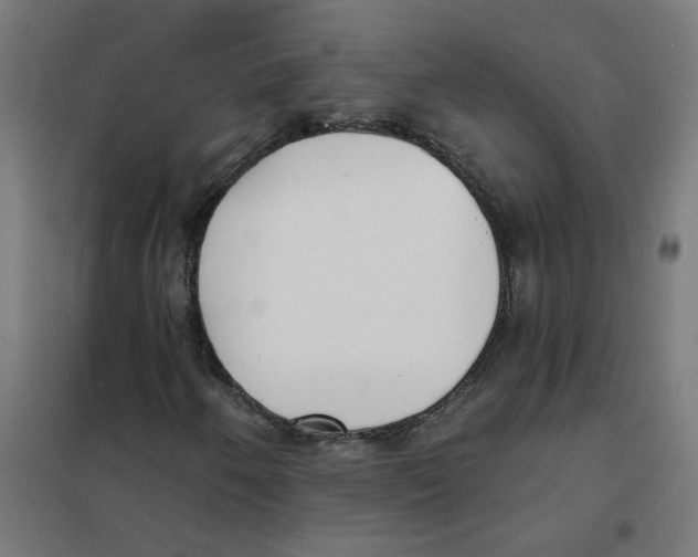 X0000101701250200808071150
