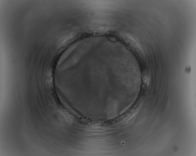 X0000101701252200808071150