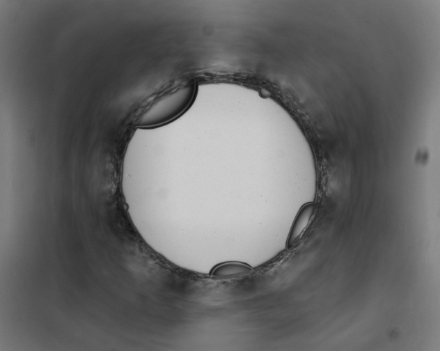 X0000101701253200808071150
