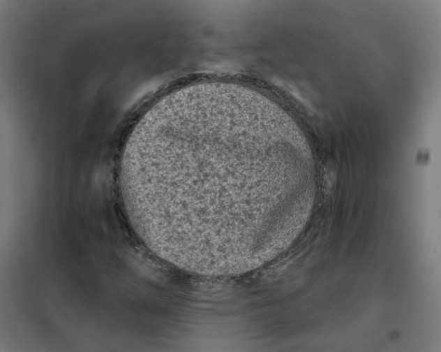 X0000101701254200808071150