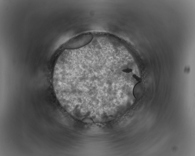 X0000101701255200808071150