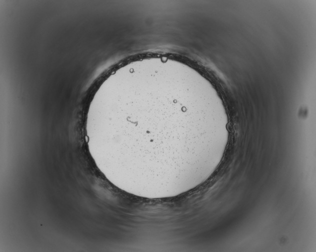 X0000101701256200808071150