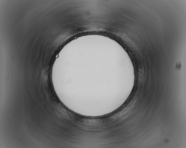 X0000101701257200808071150