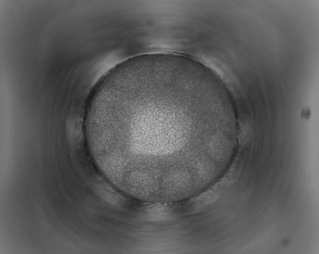 X0000101701259200808071150