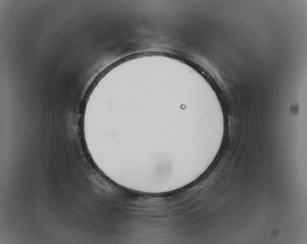 X0000101701260200808071150