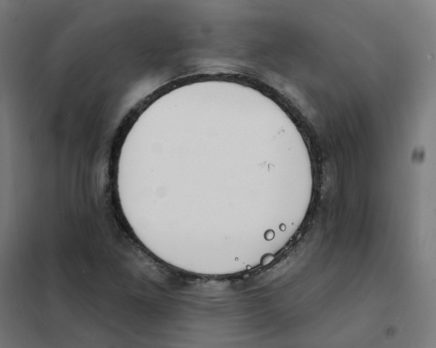 X0000101701261200808071150