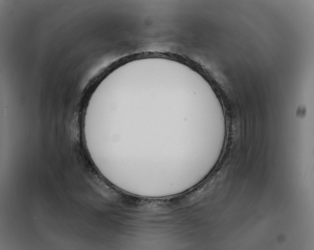 X0000101701262200808071150